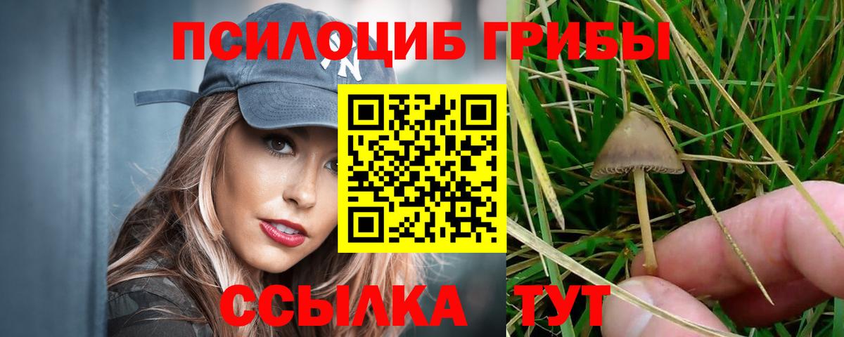 Галлюциногенные грибы прущие грибы Пугачёв